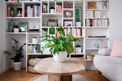 Bibliothèque dans l'appartement