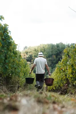 Clients de l'établissement Gîte Clusel-Roch 6 personnes au cœur des Côte-Rôtie