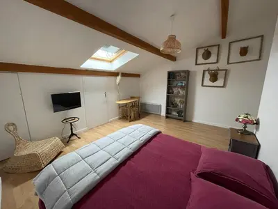 Télévision ou salle de divertissement dans l'établissement La Sereine - Appartement 2 chambres pour 4 personnes