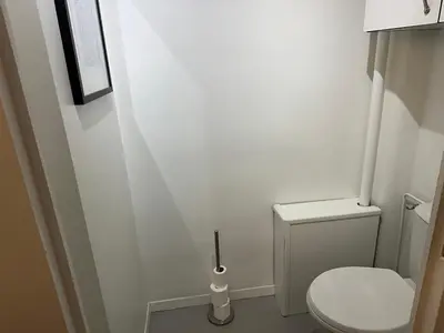 Salle de bains dans l'établissement T2 cosy gare de Villeurbanne,Part-dieu