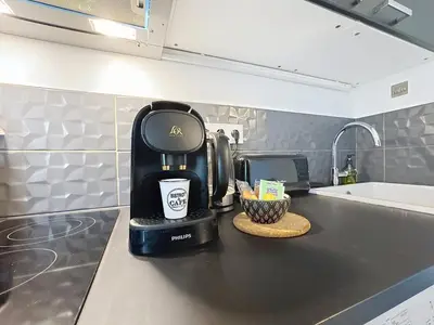 Cuisine ou kitchenette dans l'établissement Le Studio Cosy Partdieu Villette
