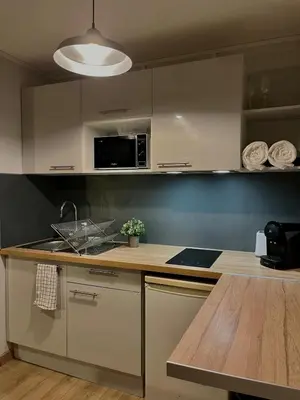 Cuisine ou kitchenette dans l'établissement Charmant Studio Villeurbanne, Proche de Lyon