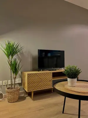 Télévision ou salle de divertissement dans l'établissement Charmant Studio Villeurbanne, Proche de Lyon