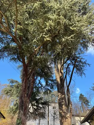 Paysage naturel près de l'appartement
