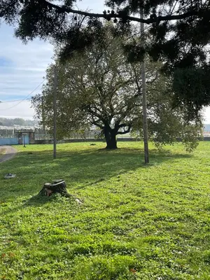 Jardin de l'établissement BeeOnTheTree - Logis 100m2 jusqu'à 8 personnes