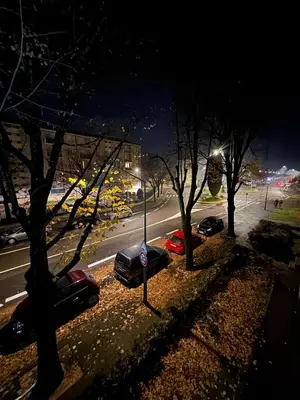 Plan de l'établissement Appartement d exeption neuf idealement situe proche Eurexpo OL vallee et Lyon centre parking gratuit