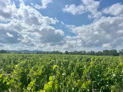 Paysage naturel près de l'appartement