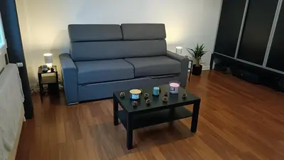Coin salon dans l'établissement Superbe studio Lyon 3 avec chambre et balcon