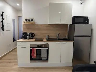 Cuisine ou kitchenette dans l'établissement Studio cozy à Lagnieu