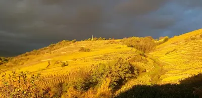 Paysage naturel près de la maison d'hôtes