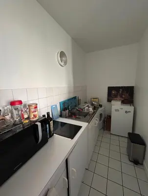 Cuisine ou kitchenette dans l'établissement Appart lumineux Croix Rousse