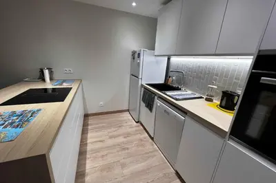 Cuisine ou kitchenette dans l'établissement Practical studio in the heart of Lyon