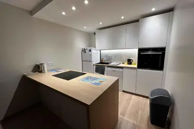 Cuisine ou kitchenette dans l'établissement Practical studio in the heart of Lyon