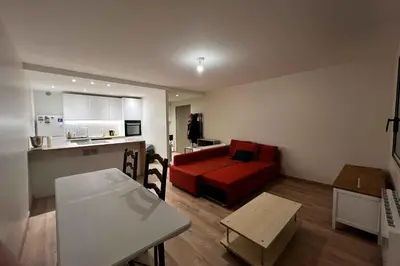 Cuisine ou kitchenette dans l'établissement Practical studio in the heart of Lyon