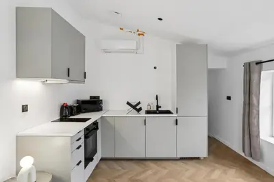 Cuisine ou kitchenette dans l'établissement Superbe appartement, design & moderne en hypercentre