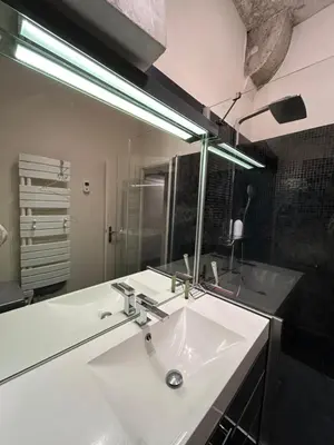Salle de bains dans l'établissement Appartement lumineux en plein coeur de Lyon