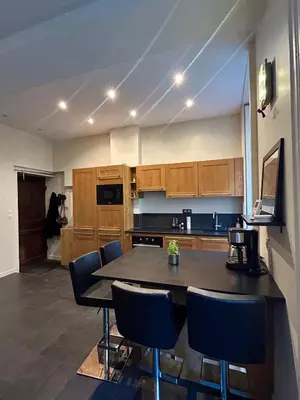 Cuisine ou kitchenette dans l'établissement Appartement lumineux en plein coeur de Lyon