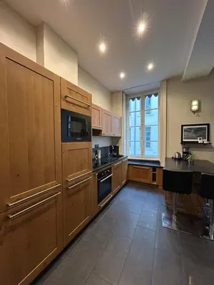Cuisine ou kitchenette dans l'établissement Appartement lumineux en plein coeur de Lyon
