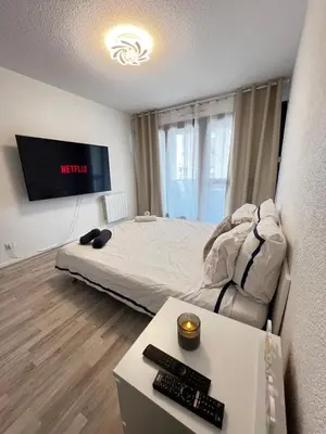 Télévision ou salle de divertissement dans l'établissement Appartement avec garage, proche du centre Lyon