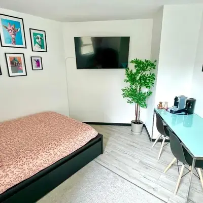 Calm and Cozy Apartment