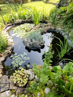 Jardin de l'établissement Chez MariLou