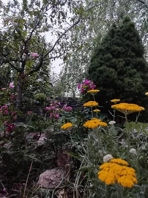 Jardin de l'établissement Chez MariLou