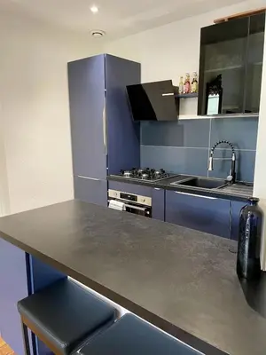 Cuisine ou kitchenette dans l'établissement Haussmannian apartment-Close metro