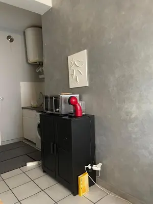 Cuisine ou kitchenette dans l'établissement Studio Métro Cusset