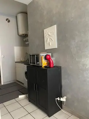 Cuisine ou kitchenette dans l'établissement Studio Métro Cusset