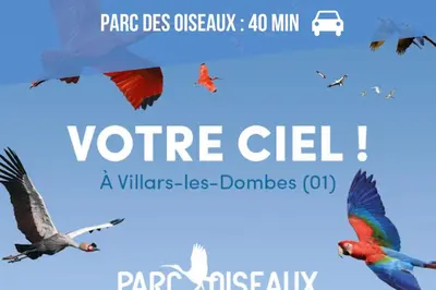 Plan de l'établissement Le Celestya, confort au bord du rhône avec terrasse