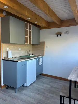 Cuisine ou kitchenette dans l'établissement Studio calme - Wi-Fi