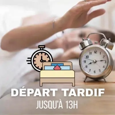 Plan de l'établissement Appartement neuf et parfaitement agencé sur Lyon