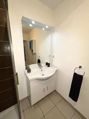 Salle de bains dans l'établissement Appartement neuf et parfaitement agencé sur Lyon