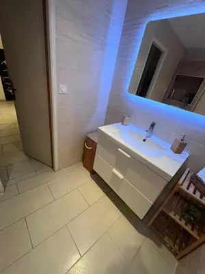 Salle de bains dans l'établissement Maison à Chasse sur Rhône avec parking clos