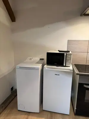 Cuisine ou kitchenette dans l'établissement Appartement La Forêt Villebois 01