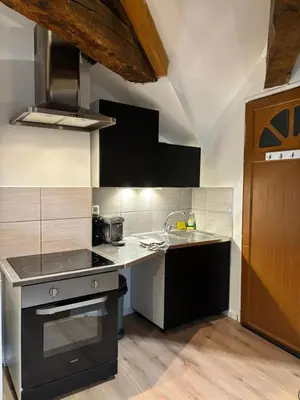 Cuisine ou kitchenette dans l'établissement Appartement La Forêt Villebois 01
