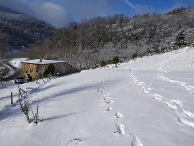L'établissement Gîte nature 7 pers avec grand jardin vue forêt & randonnées en hiver