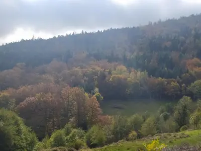 Paysage naturel près de la maison de vacances