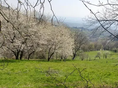 Paysage naturel près de la maison de vacances