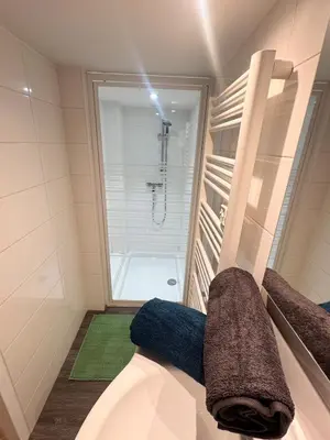 Salle de bains dans l'établissement Jubin Duplex
