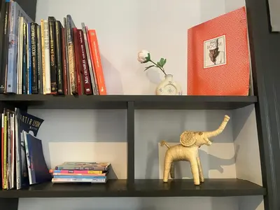 Bibliothèque dans l'appartement