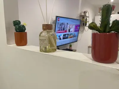 Télévision ou salle de divertissement dans l'établissement Le Cosy du Groupama et LDLC Arena