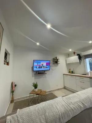 Télévision ou salle de divertissement dans l'établissement Le Cosy du Groupama et LDLC Arena