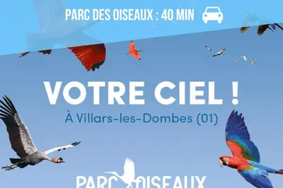 Plan de l'établissement Toronto T2 climatisé avec terrasse et parking proche CNPE BUGEY