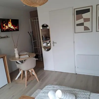 Télévision ou salle de divertissement dans l'établissement Studio moderne proche Lyon et aéroport