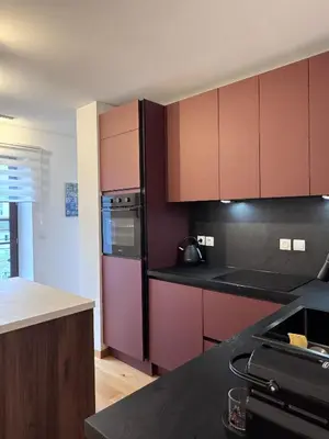 Cuisine ou kitchenette dans l'établissement Premium Baraban