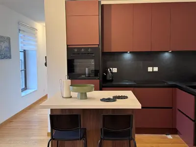 Cuisine ou kitchenette dans l'établissement Premium Baraban
