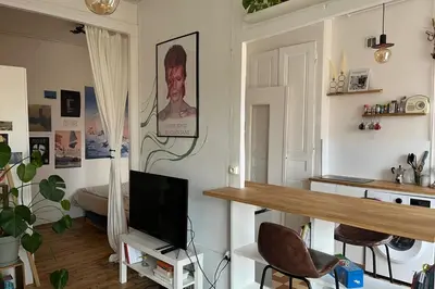 Télévision ou salle de divertissement dans l'établissement Studio lumineux à Lyon idéal pour deux personnes