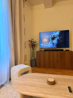 Télévision ou salle de divertissement dans l'établissement Appartement Jazz - Hyper Centre Vienne - Garage
