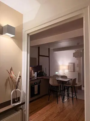 Cuisine ou kitchenette dans l'établissement Appartement Jazz - Hyper Centre Vienne - Garage